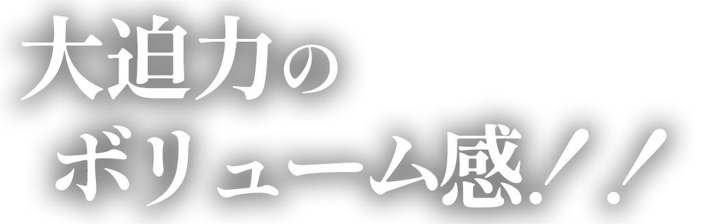 大迫力のボリューム感！！